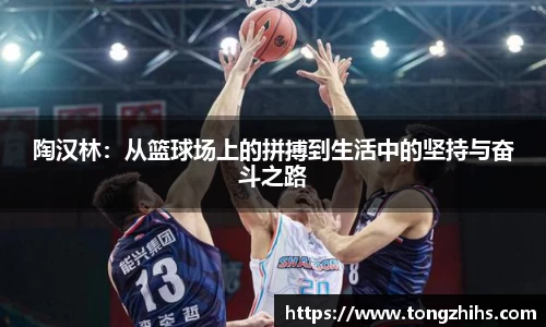 ac米兰体育平台